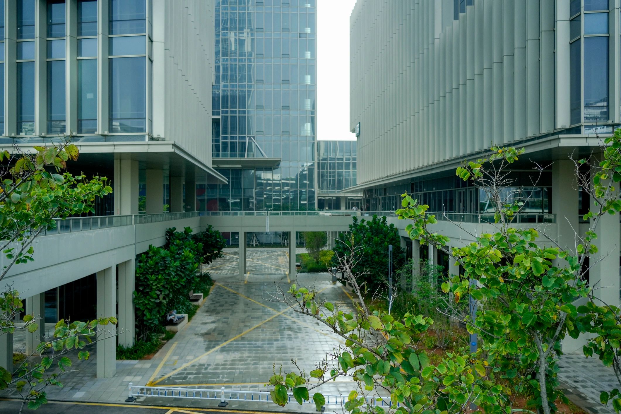 Contemporary urban business district with greenery